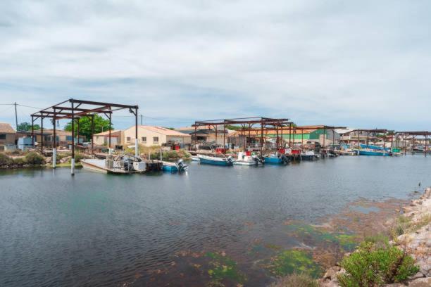 La Casa Tranquilia Chez Vero Et Jj Studio A Marseillan Ngoại thất bức ảnh