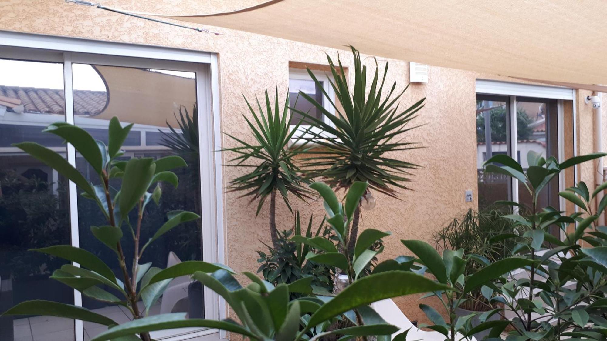 La Casa Tranquilia Chez Vero Et Jj Studio A Marseillan Ngoại thất bức ảnh